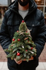 kaboompics_The man is holding a small Christmas tree with red decorations