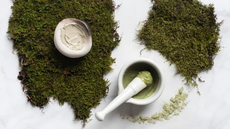 http://gardencollage.com/beauty-wellness/natural-beauty/latest-plant-based-beauty-trend-moss-moss-moss/?utm_source=Website+Newsletter+Subscription&utm_campaign=453b22ee7d-EMAIL_CAMPAIGN_2017_03_17&utm_medium=email&utm_term=0_ce615d6d9f-453b22ee7d-173081921&ct=t(Scottland3_17_2017)&mc_cid=453b22ee7d&mc_eid=7c75d2d1ed